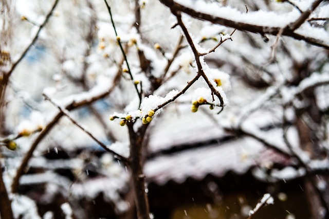 平性