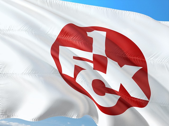 奥运冠军谢