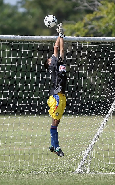 达了韩国对 达了韩国对