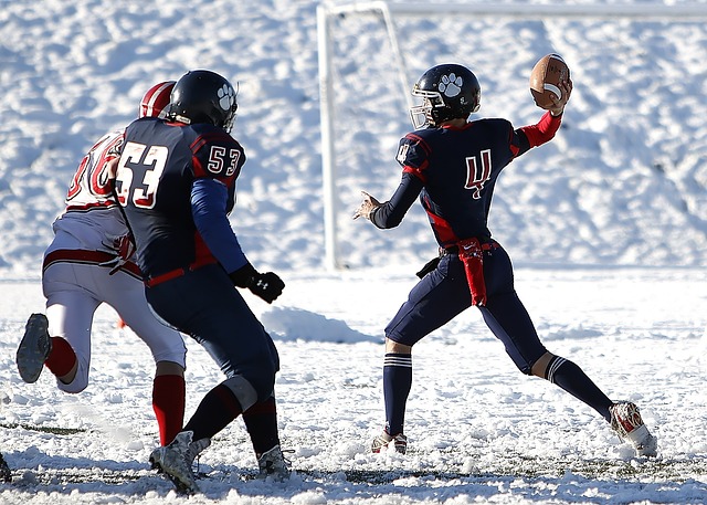 在新教练团 在新教练团