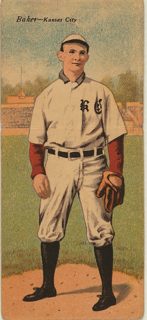 受期待的新 受期待的新