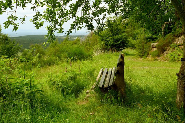 政策支持 政策支持