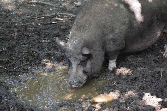 比增长约 比增长约