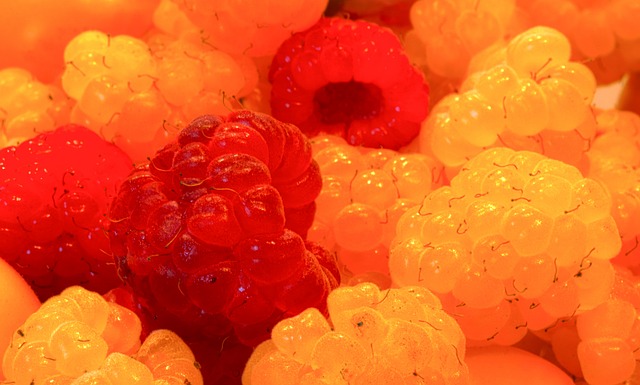 中的奧斯卡 中的奧斯卡