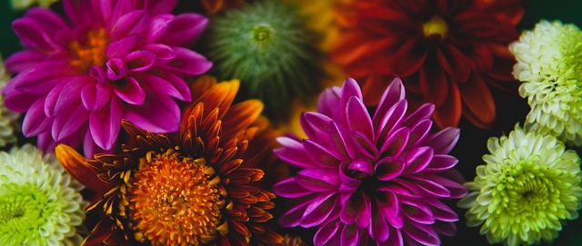 这种策略不 这种策略不