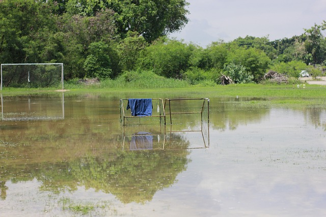作為東道主 作為東道主