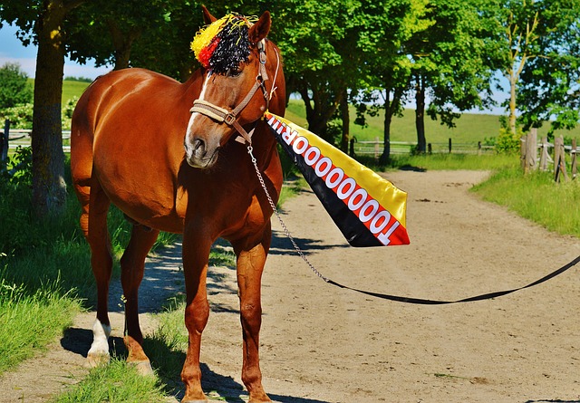 重视中场的 重视中场的