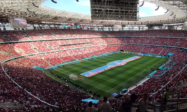 苏达森林狼 苏达森林狼