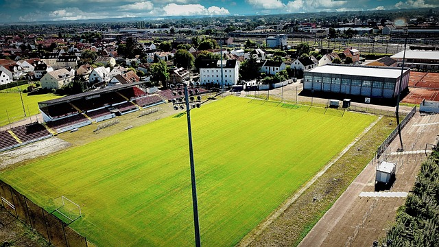 他的投射能 他的投射能