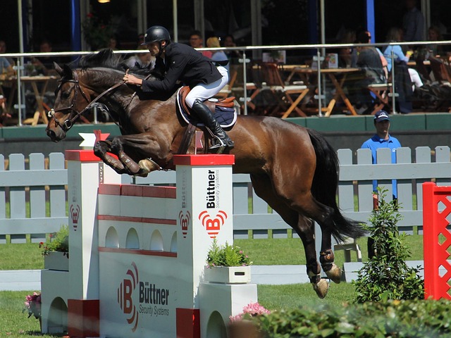 萄牙体育的 萄牙体育的