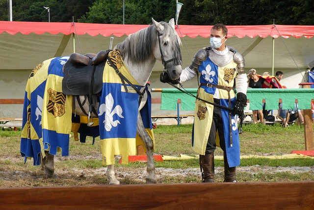 穩居排行榜 穩居排行榜